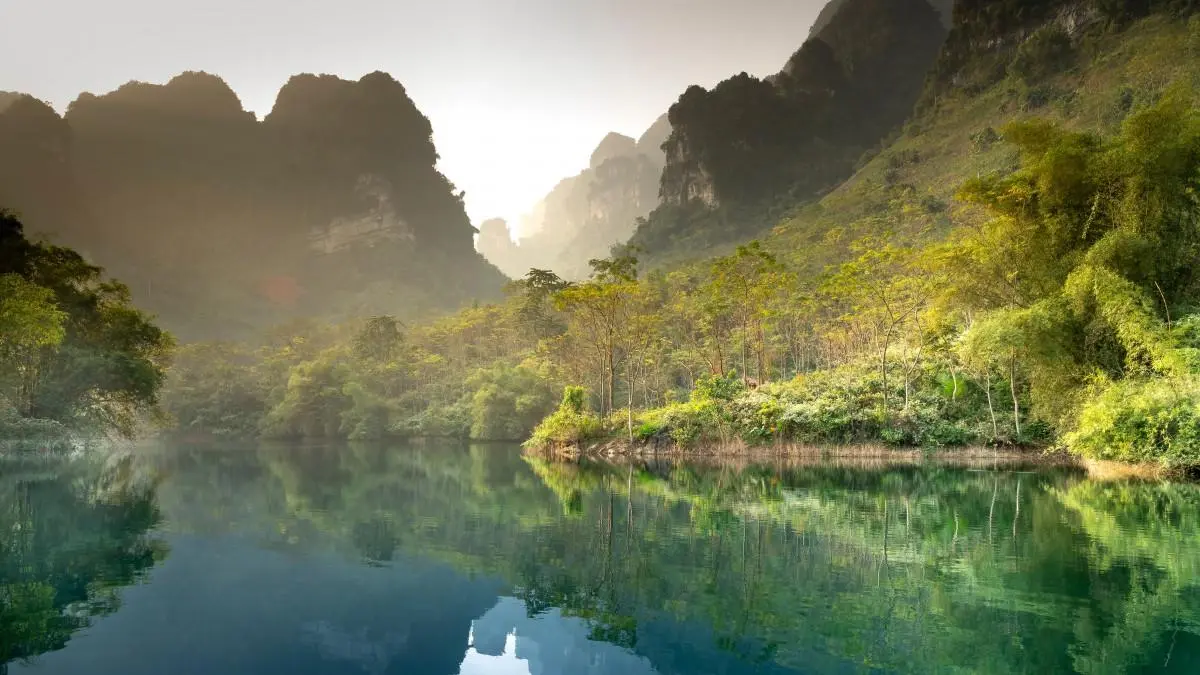高效全自动环保
